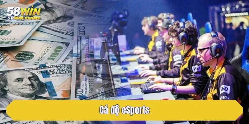 Cá độ eSports